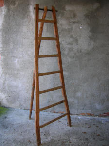 Scala (1900)